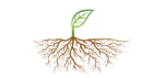 The Planted